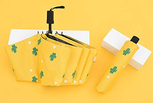 Printed Umbrella With Carrying Pouch